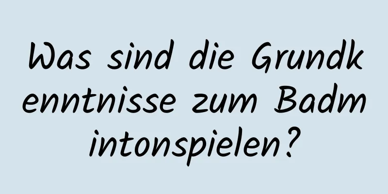 Was sind die Grundkenntnisse zum Badmintonspielen?