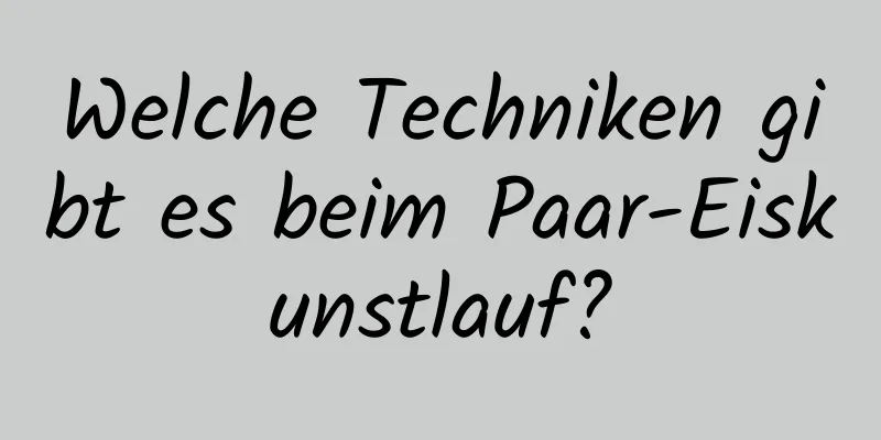 Welche Techniken gibt es beim Paar-Eiskunstlauf?