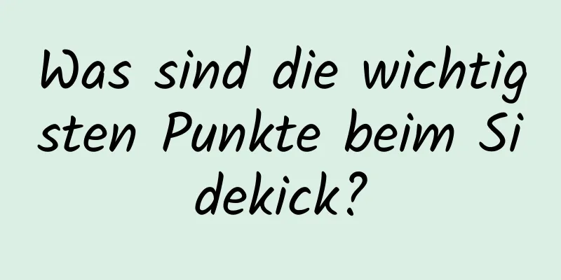 Was sind die wichtigsten Punkte beim Sidekick?