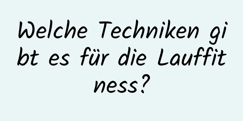 Welche Techniken gibt es für die Lauffitness?