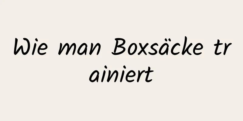 Wie man Boxsäcke trainiert