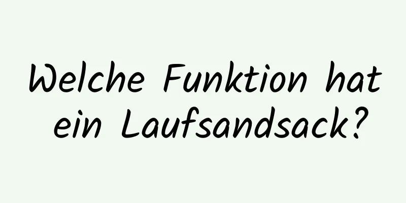 Welche Funktion hat ein Laufsandsack?