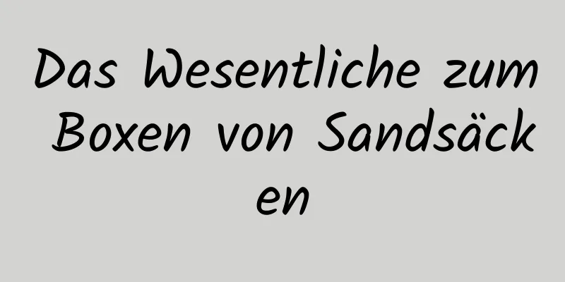 Das Wesentliche zum Boxen von Sandsäcken