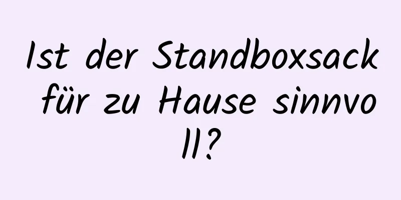 Ist der Standboxsack für zu Hause sinnvoll?