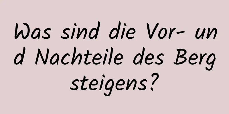 Was sind die Vor- und Nachteile des Bergsteigens?