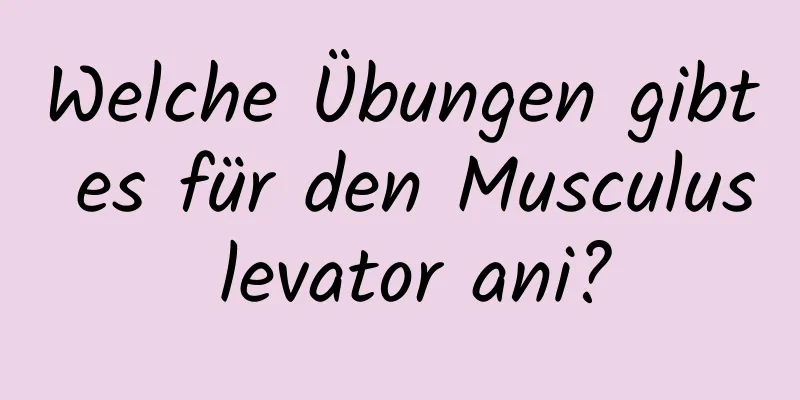 Welche Übungen gibt es für den Musculus levator ani?