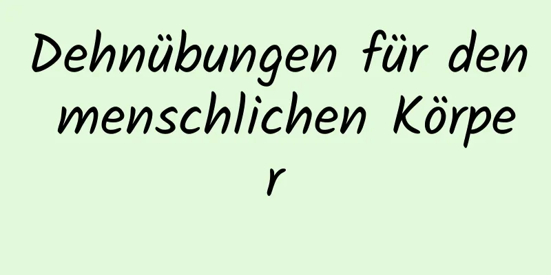 Dehnübungen für den menschlichen Körper