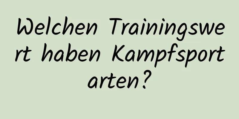 Welchen Trainingswert haben Kampfsportarten?