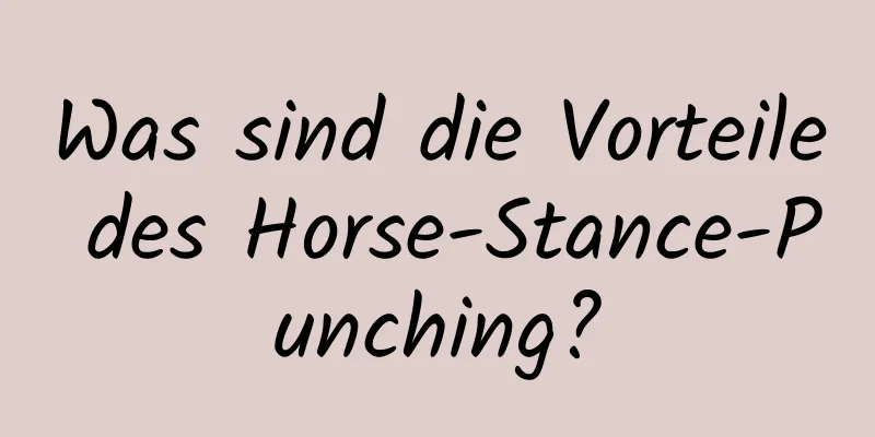 Was sind die Vorteile des Horse-Stance-Punching?