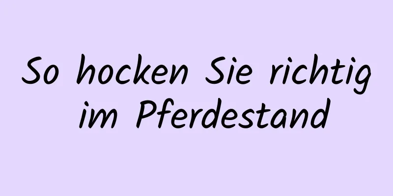 So hocken Sie richtig im Pferdestand