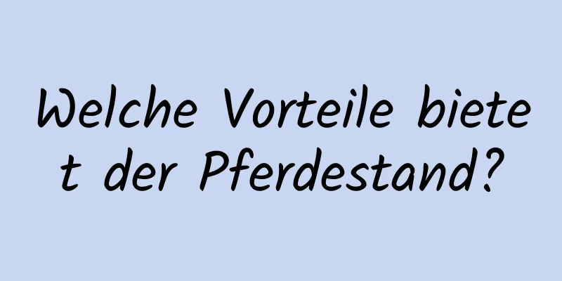 Welche Vorteile bietet der Pferdestand?