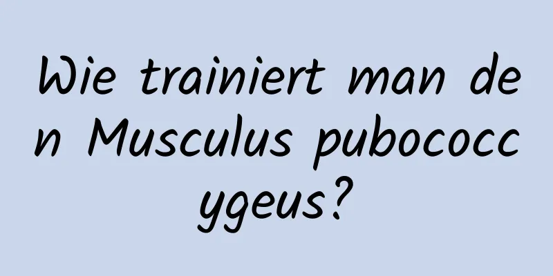 Wie trainiert man den Musculus pubococcygeus?