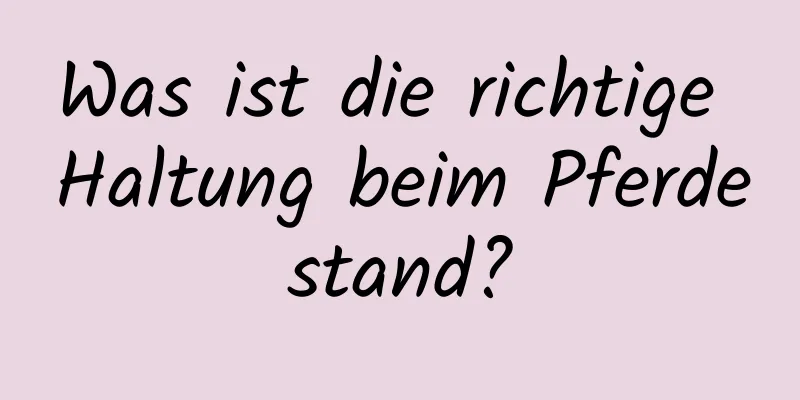 Was ist die richtige Haltung beim Pferdestand?