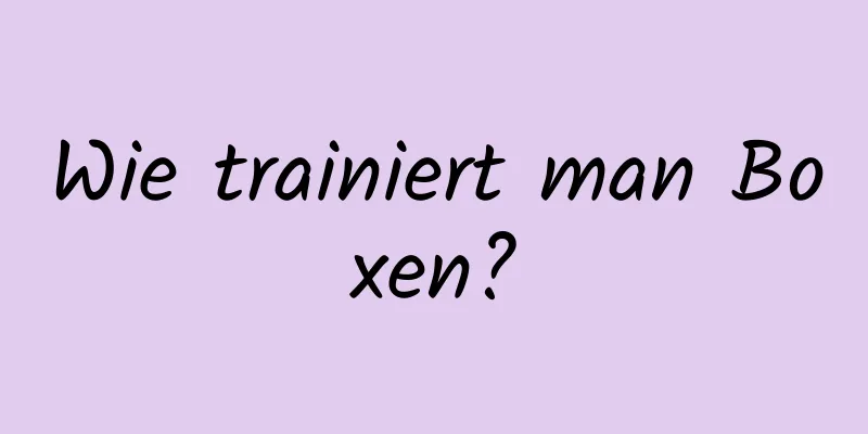 Wie trainiert man Boxen?