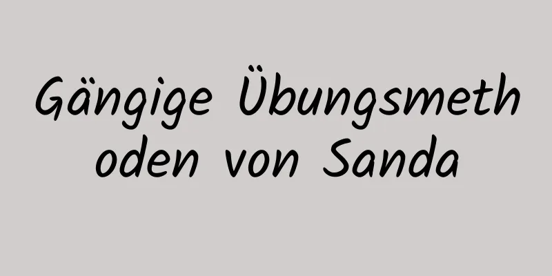 Gängige Übungsmethoden von Sanda