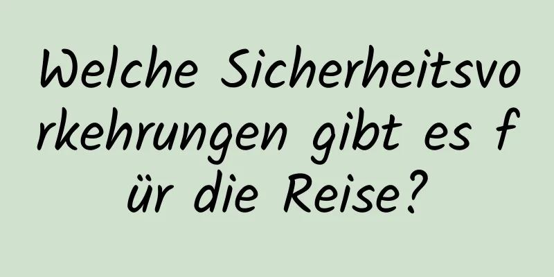 Welche Sicherheitsvorkehrungen gibt es für die Reise?