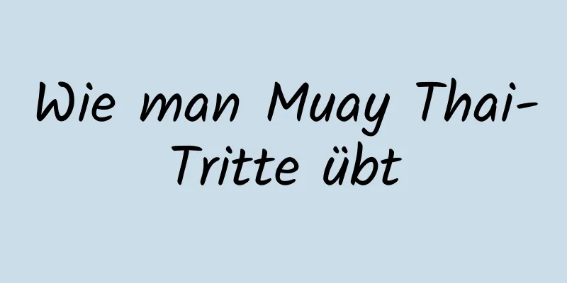 Wie man Muay Thai-Tritte übt