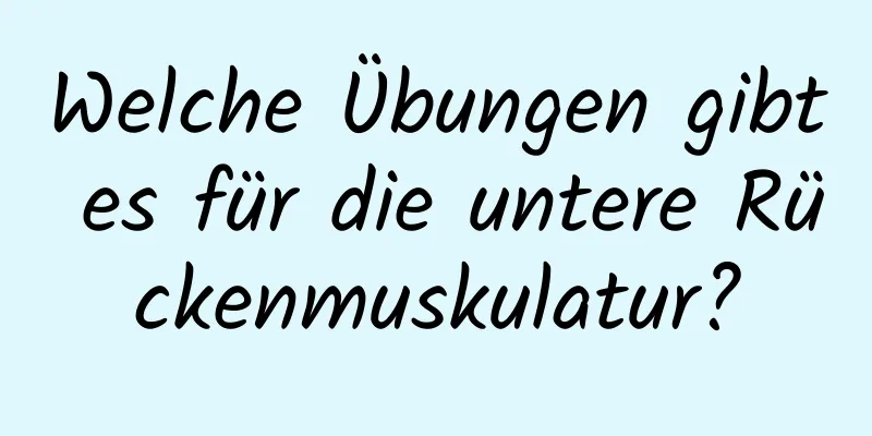 Welche Übungen gibt es für die untere Rückenmuskulatur?