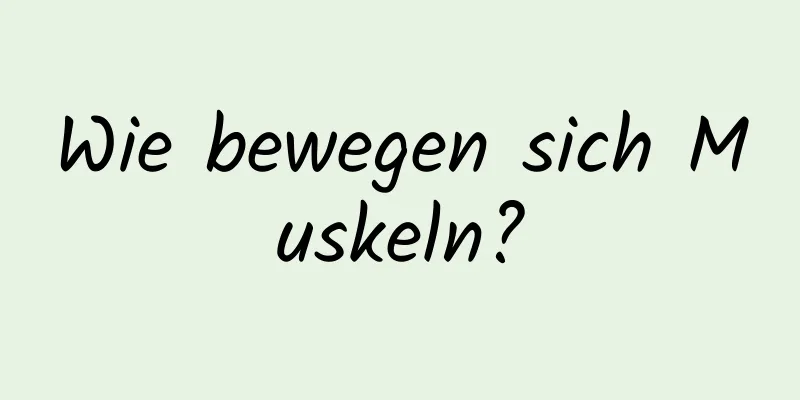 Wie bewegen sich Muskeln?