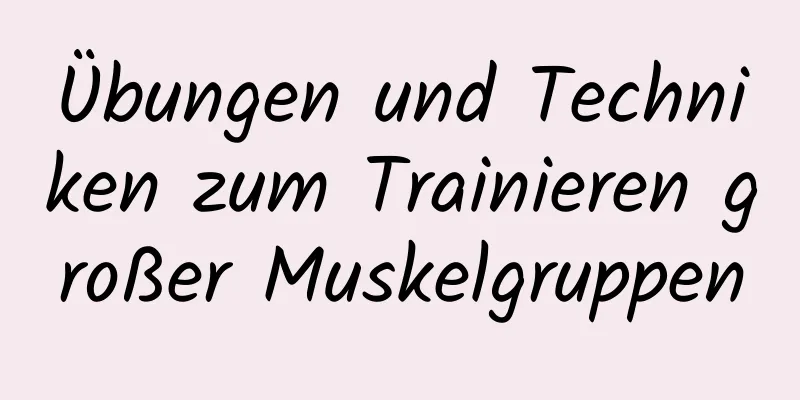 Übungen und Techniken zum Trainieren großer Muskelgruppen