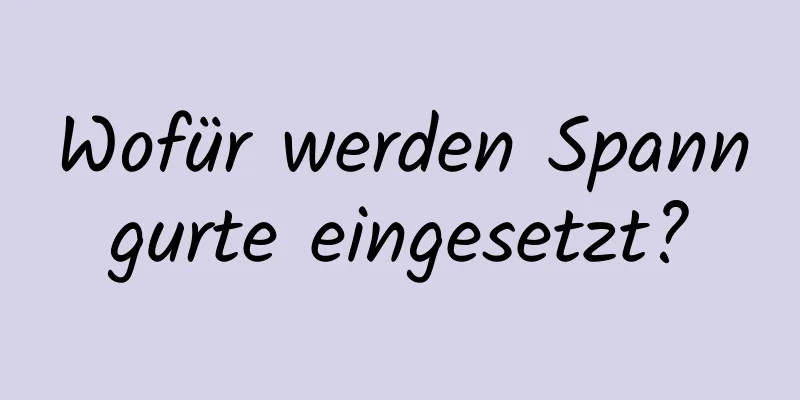 Wofür werden Spanngurte eingesetzt?