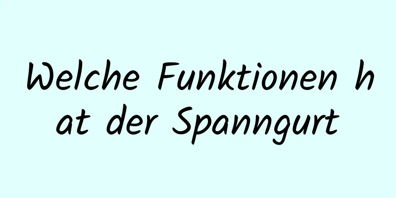 Welche Funktionen hat der Spanngurt