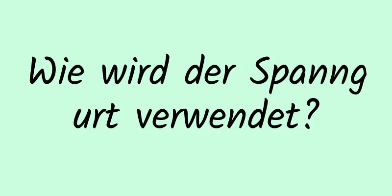 Wie wird der Spanngurt verwendet?