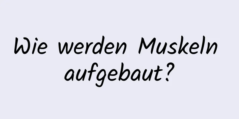 Wie werden Muskeln aufgebaut?