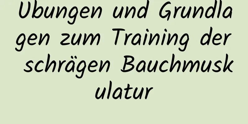 Übungen und Grundlagen zum Training der schrägen Bauchmuskulatur