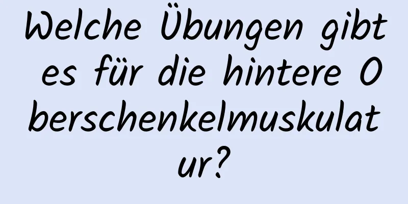 Welche Übungen gibt es für die hintere Oberschenkelmuskulatur?