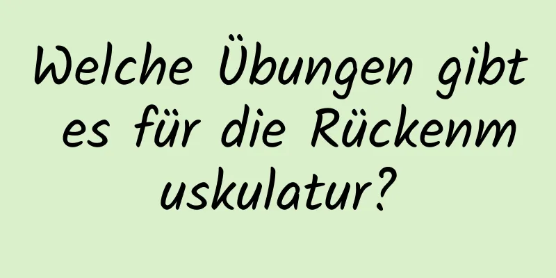 Welche Übungen gibt es für die Rückenmuskulatur?