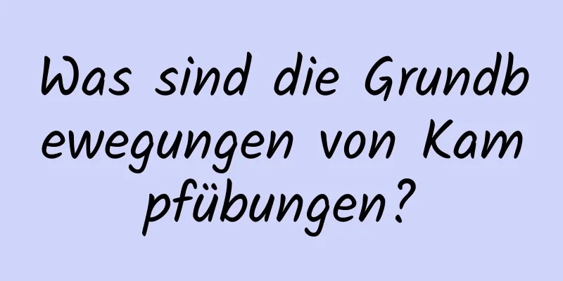 Was sind die Grundbewegungen von Kampfübungen?