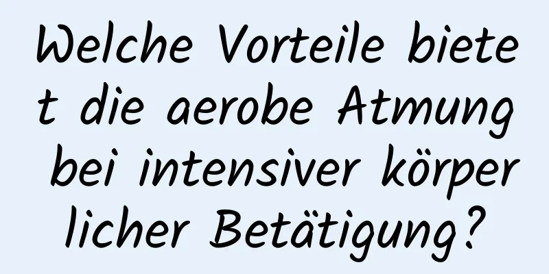 Welche Vorteile bietet die aerobe Atmung bei intensiver körperlicher Betätigung?