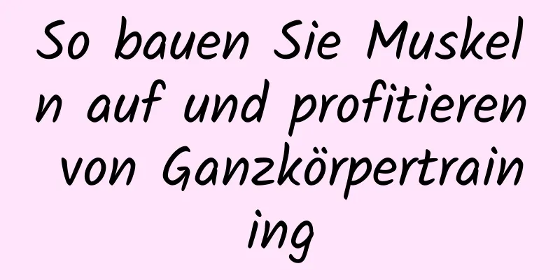 So bauen Sie Muskeln auf und profitieren von Ganzkörpertraining