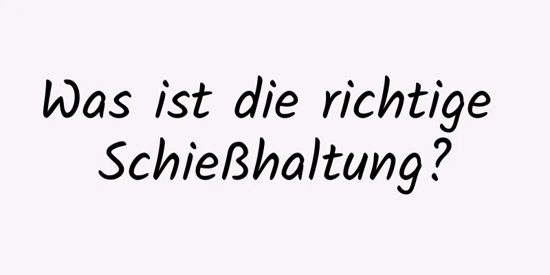 Was ist die richtige Schießhaltung?