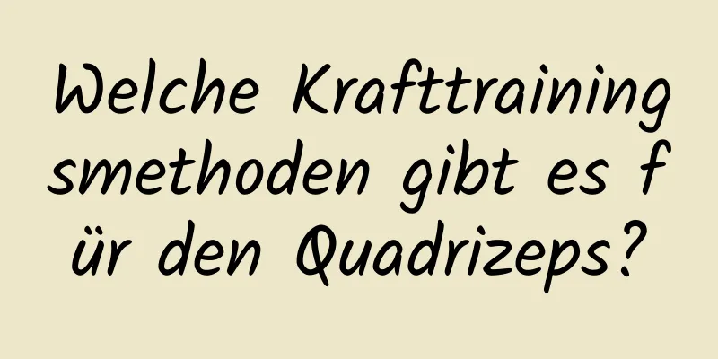 Welche Krafttrainingsmethoden gibt es für den Quadrizeps?