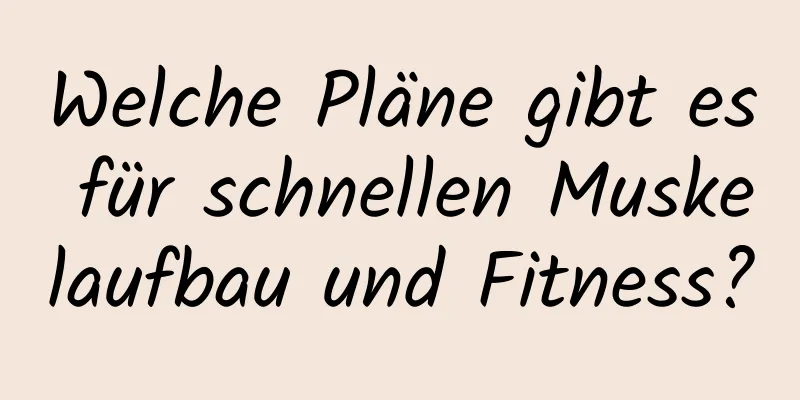 Welche Pläne gibt es für schnellen Muskelaufbau und Fitness?