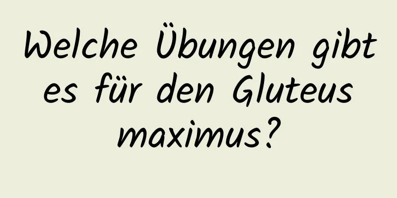 Welche Übungen gibt es für den Gluteus maximus?