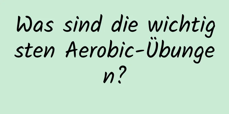 Was sind die wichtigsten Aerobic-Übungen?