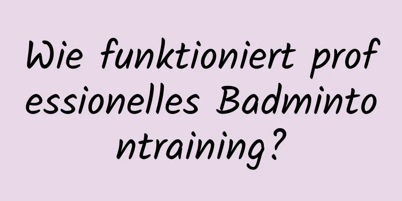 Wie funktioniert professionelles Badmintontraining?