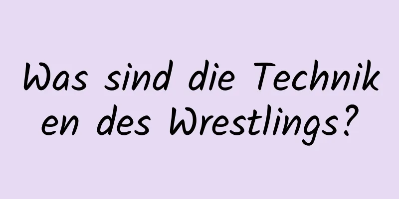 Was sind die Techniken des Wrestlings?