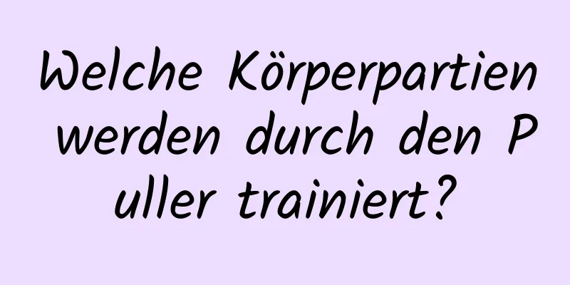 Welche Körperpartien werden durch den Puller trainiert?