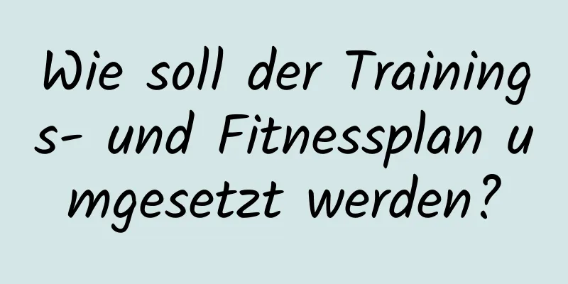 Wie soll der Trainings- und Fitnessplan umgesetzt werden?