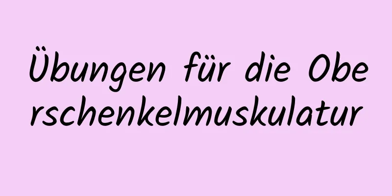 Übungen für die Oberschenkelmuskulatur