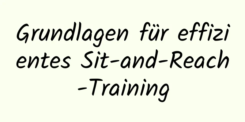 Grundlagen für effizientes Sit-and-Reach-Training