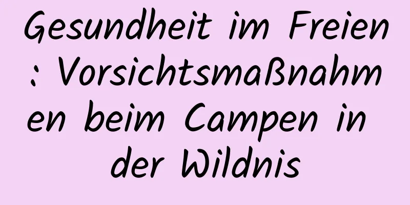 Gesundheit im Freien: Vorsichtsmaßnahmen beim Campen in der Wildnis