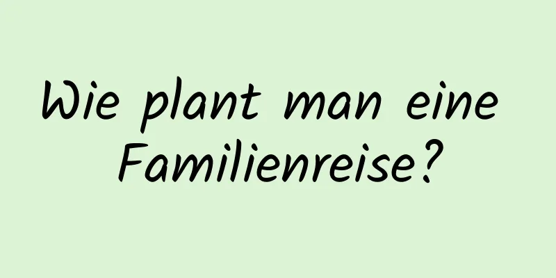 Wie plant man eine Familienreise?