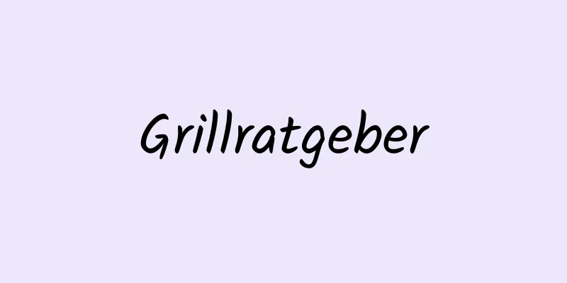 Grillratgeber