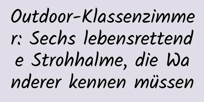 Outdoor-Klassenzimmer: Sechs lebensrettende Strohhalme, die Wanderer kennen müssen