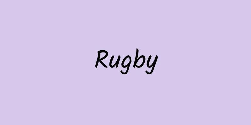 Rugby